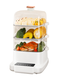 电子不带火锅款电蒸锅DG-80R1